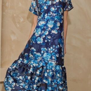 Sugarlips Abay Floral Dime Organza Maxi Dress MED